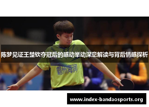 陈梦见证王楚钦夺冠后的感动举动深意解读与背后情感探析