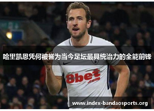 哈里凯恩凭何被誉为当今足坛最具统治力的全能前锋